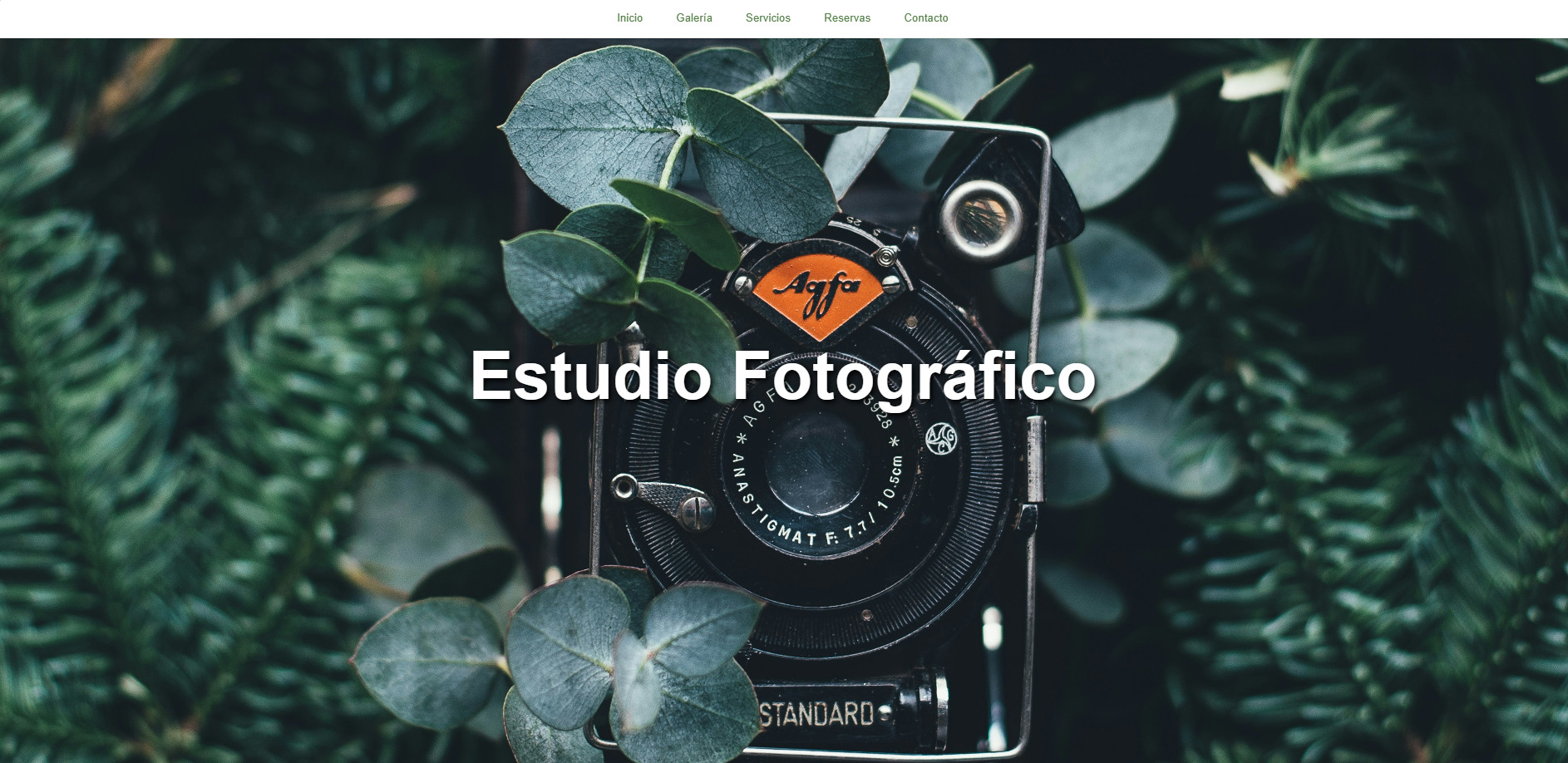 Proyecto Estudio Fotográfico